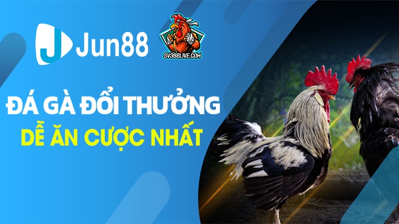 2 10 - Hướng dẫn tải app đá gà online và cách chơi “bách trúng”