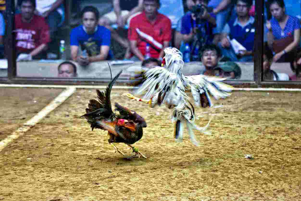 Hình ảnh, âm thanh sắc nét