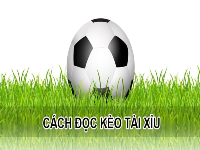 Kèo tài xỉu 2.5/3 là gì? Hướng dẫn soi kèo cho người mới chơi