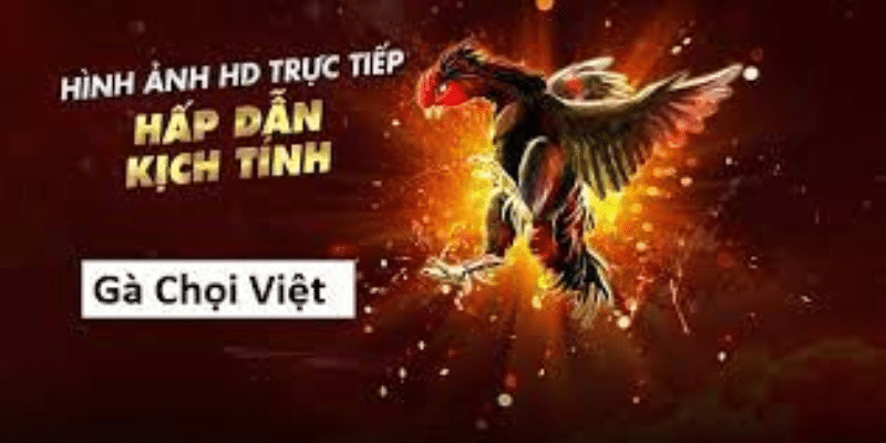 Untitled design 21 - Đá gà trực tuyến 67 tại Jun88 có gì hấp dẫn?