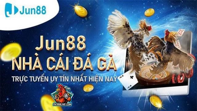 Nhà cái Jun88 trang đá gà uy tín nhất hiện nay