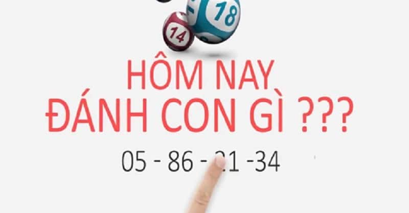 hom nay danh con gi dep - Mẹo bắt lô đề theo can chi chuẩn không cần chỉnh