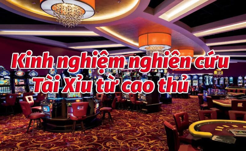 kinh nghiệm đặt cược tài xỉu chẵn lẻ