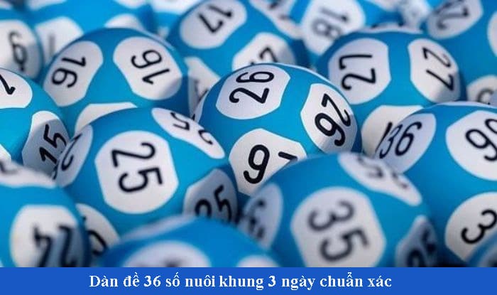 Nuôi dàn đề trong 3 ngày