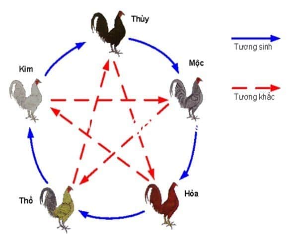 Phương pháp xem màu mạng đá gà hôm nay theo phong thủy