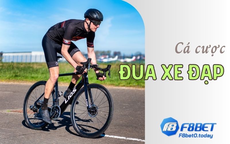 cá cược đua xe đạp